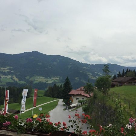 Hotel Und Alpen Apartments Mit Sauna - Buerglhoeh Bischofshofen Εξωτερικό φωτογραφία